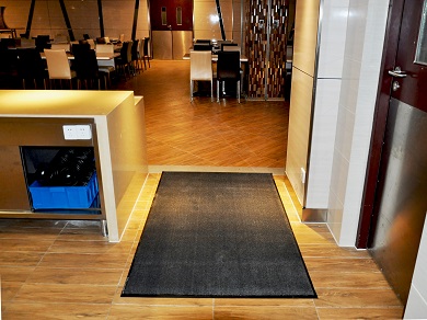 Rismat FloorGuard Gallery